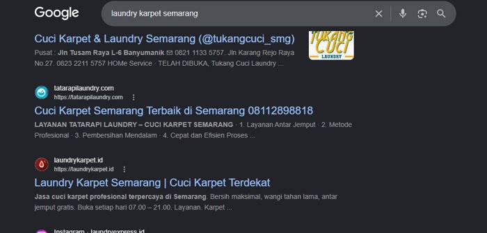 Hasil pencarian Google untuk laundry karpet semarang